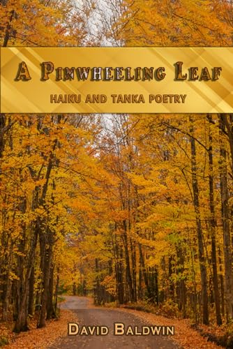 Cover of A Pinwheeling Leaf